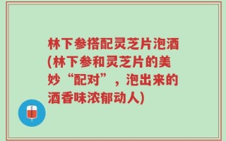 林下参搭配灵芝片泡酒(林下参和灵芝片的美妙“配对”，泡出来的酒香味浓郁动人)