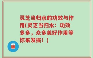 灵芝当归水的功效与作用(灵芝当归水：功效多多，众多美好作用等你来发掘！)