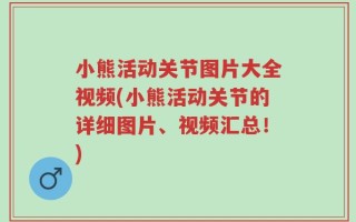 小熊活动关节图片大全视频(小熊活动关节的详细图片、视频汇总！)