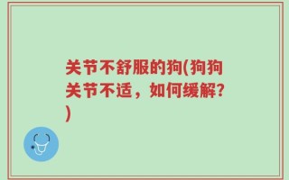 关节不舒服的狗(狗狗关节不适，如何缓解？)