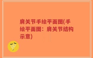 肩关节手绘平面图(手绘平面图：肩关节结构示意)