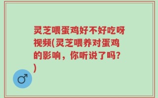 灵芝喂蛋鸡好不好吃呀视频(灵芝喂养对蛋鸡的影响，你听说了吗？)