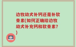 边牧幼犬补钙还是补软骨素(如何正确给边牧幼犬补充钙和软骨素？)