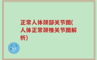 正常人体颈部关节图(人体正常颈椎关节图解析)