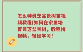 怎么种灵芝盆景树苗视频教程(如何在家里培育灵芝盆景树，教程持视频，轻松学习！