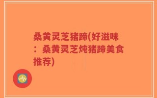 桑黄灵芝猪蹄(好滋味：桑黄灵芝炖猪蹄美食推荐)