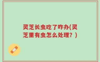 灵芝长虫吃了咋办(灵芝里有虫怎么处理？)