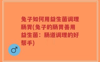 兔子如何用益生菌调理肠胃(兔子的肠胃善用益生菌：肠道调理的好帮手)