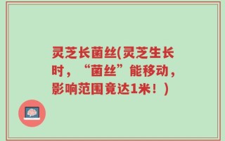 灵芝长菌丝(灵芝生长时，“菌丝”能移动，影响范围竟达1米！)