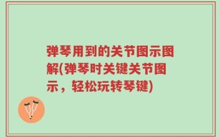 弹琴用到的关节图示图解(弹琴时关键关节图示，轻松玩转琴键)