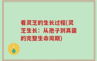 看灵芝的生长过程(灵芝生长：从孢子到真菌的完整生命周期)