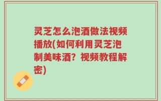 灵芝怎么泡酒做法视频播放(如何利用灵芝泡制美味酒？视频教程解密)
