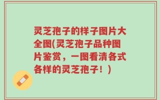 灵芝孢子的样子图片大全图(灵芝孢子品种图片鉴赏，一图看清各式各样的灵芝孢子！)