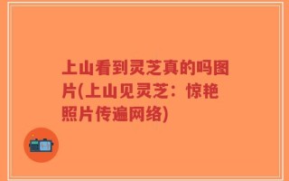 上山看到灵芝真的吗图片(上山见灵芝：惊艳照片传遍网络)