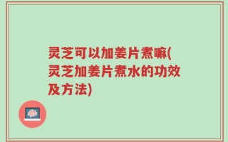灵芝可以加姜片煮嘛(灵芝加姜片煮水的功效及方法)