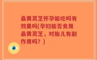 桑黄灵芝怀孕能吃吗有效果吗(孕妇能否食用桑黄灵芝，对胎儿有副作用吗？)