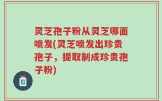 灵芝孢子粉从灵芝哪面喷发(灵芝喷发出珍贵孢子，提取制成珍贵孢子粉)