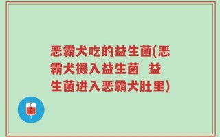 恶霸犬吃的益生菌(恶霸犬摄入益生菌  益生菌进入恶霸犬肚里)