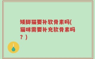 矮脚猫要补软骨素吗(猫咪需要补充软骨素吗？)