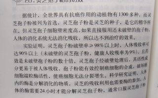 胃癌能吃灵芝孢子粉吗？能起到什么作用？