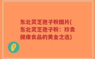 东北灵芝孢子粉图片(东北灵芝孢子粉：珍贵健康食品的黄金之选)