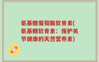 氨基糖葡萄酸软骨素(氨基糖软骨素：保护关节健康的天然营养素)