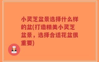小灵芝盆景选择什么样的盆(打造精美小灵芝盆景，选择合适花盆很重要)