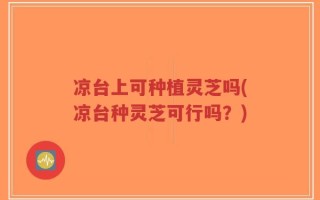 凉台上可种植灵芝吗(凉台种灵芝可行吗？)