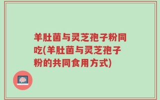 羊肚菌与灵芝孢子粉同吃(羊肚菌与灵芝孢子粉的共同食用方式)