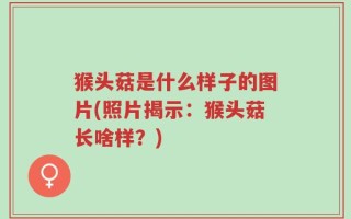 猴头菇是什么样子的图片(照片揭示：猴头菇长啥样？)