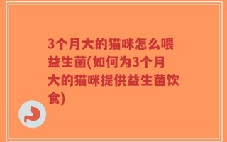 3个月大的猫咪怎么喂益生菌(如何为3个月大的猫咪提供益生菌饮食)