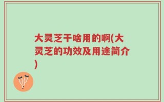 大灵芝干啥用的啊(大灵芝的功效及用途简介)