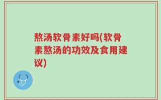 熬汤软骨素好吗(软骨素熬汤的功效及食用建议)