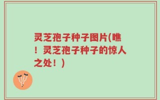 灵芝孢子种子图片(瞧！灵芝孢子种子的惊人之处！)
