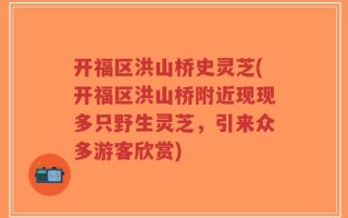 开福区洪山桥史灵芝(开福区洪山桥附近现现多只野生灵芝，引来众多游客欣赏)