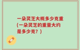 一朵灵芝大概多少克重(一朵灵芝的重量大约是多少克？)