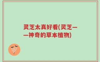 灵芝太真好看(灵芝——神奇的草本植物)
