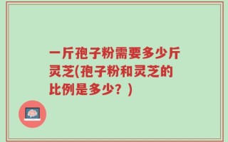 一斤孢子粉需要多少斤灵芝(孢子粉和灵芝的比例是多少？)