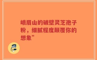 峨眉山的破壁灵芝孢子粉，细腻程度颠覆你的想象”