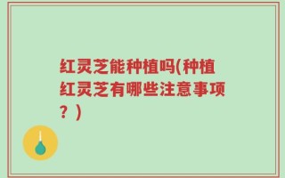 红灵芝能种植吗(种植红灵芝有哪些注意事项？)