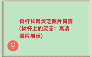树杆长出灵芝图片高清(树杆上的灵芝：高清图片展示)