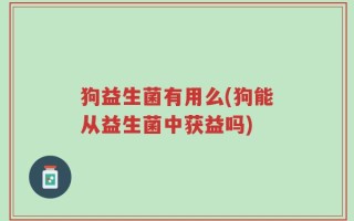 狗益生菌有用么(狗能从益生菌中获益吗)