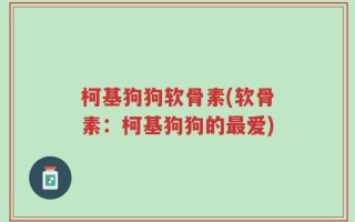 柯基狗狗软骨素(软骨素：柯基狗狗的最爱)