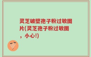 灵芝破壁孢子粉过敏图片(灵芝孢子粉过敏图，小心!)