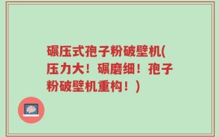碾压式孢子粉破壁机(压力大！碾磨细！孢子粉破壁机重构！)