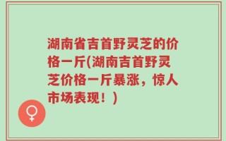 湖南省吉首野灵芝的价格一斤(湖南吉首野灵芝价格一斤暴涨，惊人市场表现！)