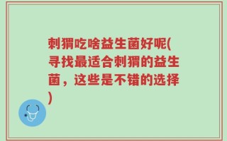 刺猬吃啥益生菌好呢(寻找最适合刺猬的益生菌，这些是不错的选择)