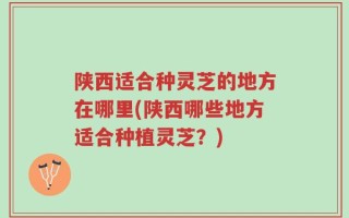 陕西适合种灵芝的地方在哪里(陕西哪些地方适合种植灵芝？)