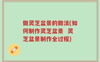 做灵芝盆景的做法(如何制作灵芝盆景  灵芝盆景制作全过程)