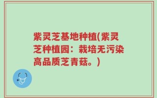 紫灵芝基地种植(紫灵芝种植园：栽培无污染高品质芝青菇。)